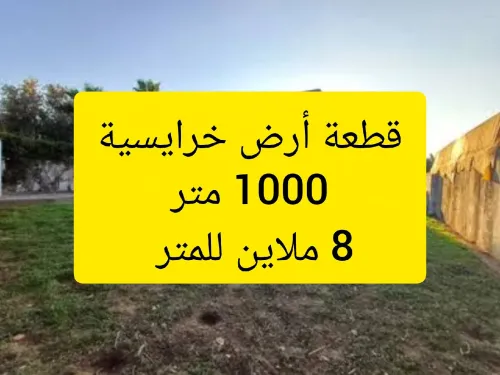 Vente Terrain Alger Khraissia