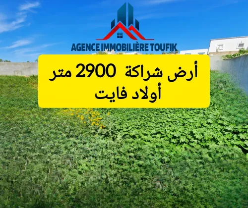 Vente Terrain Alger Ouled fayet