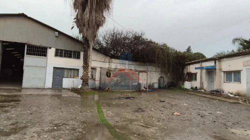 Vente Hangar - Usine Alger Gue de constantine