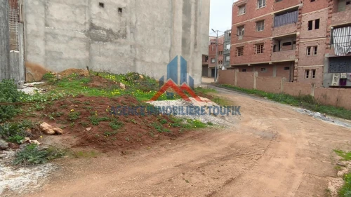 Vente Terrain Alger Douera