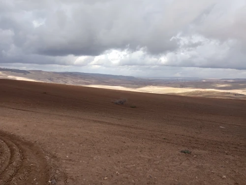 Vente Terrain Agricole Mascara El gaada