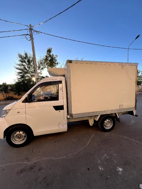 Chery Frigo 2019