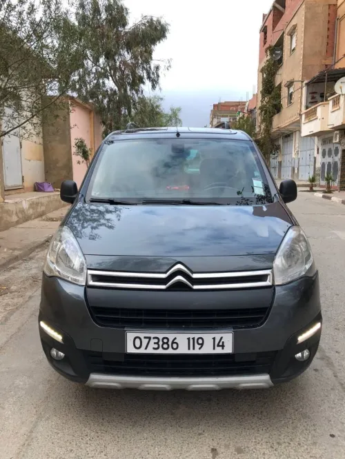 Peugeot Berlingo 2019 Berlingo
