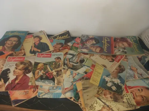 Des ancien roman magazine 1000da l'unité