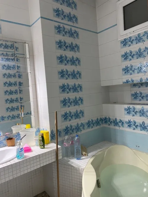 Location Appartement F3 Alger Kouba