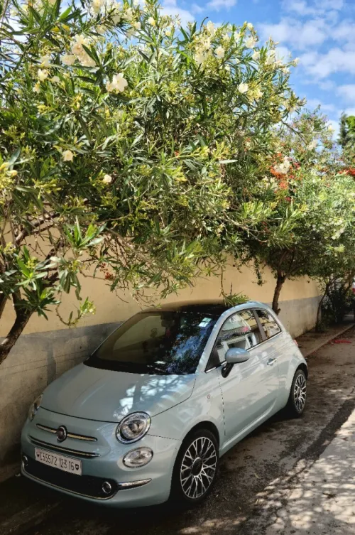 Fiat 500 2023 Dolcevita plus 