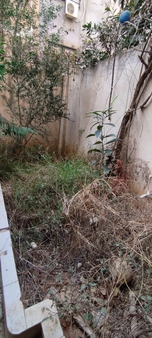 Vente Villa Alger Ouled fayet