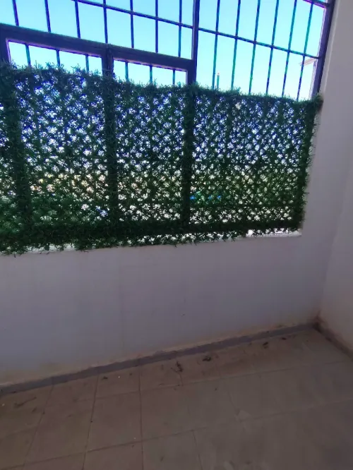 Location Appartement F4 Alger Mahelma