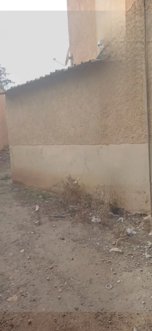 Vente Sidi Bel Abbès Boukhanafis