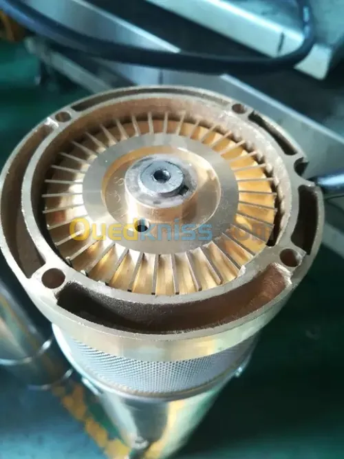 Pompe à eau emmergee مضخات غاطسة 