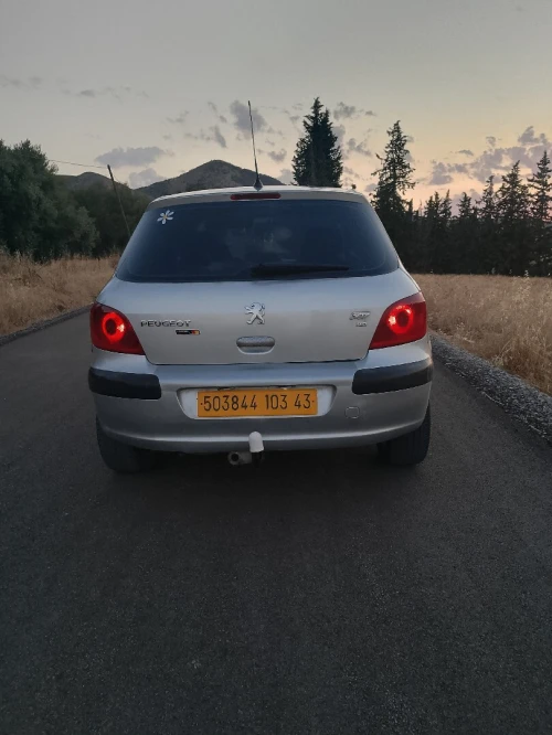 Peugeot 307 2003 XT