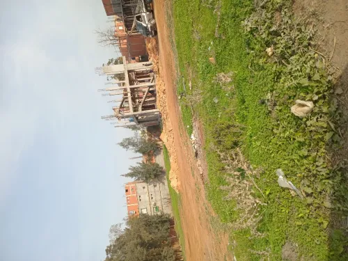 Vente Terrain Tipaza Fouka