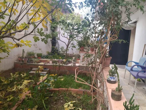 Vente Villa Guelma Guelma