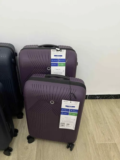 VALISE DELSEY ensemble
