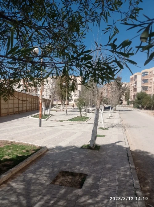Vente Appartement Tiaret Tiaret