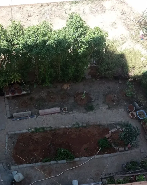 Vente Appartement Tiaret Tiaret