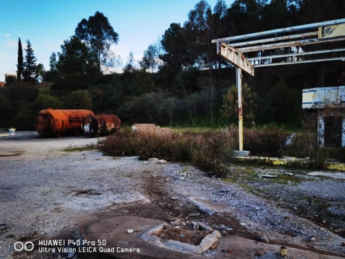 Vente Terrain Guelma Guelma