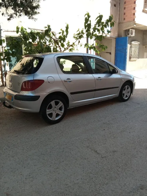 Peugeot 307 2002 307