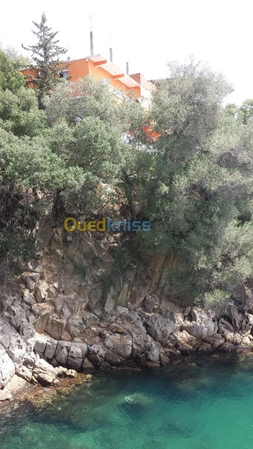 Vente Niveau De Villa Skikda Collo