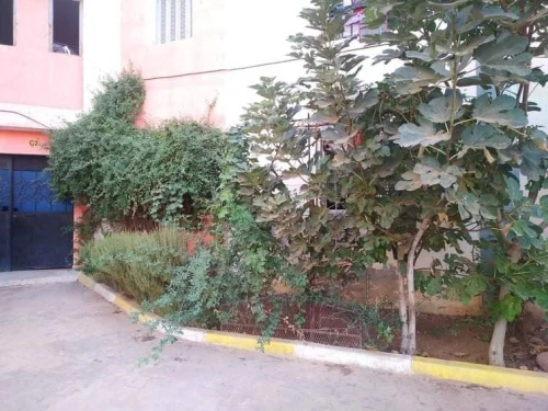 Vente Appartement F3 Blida Bouinan