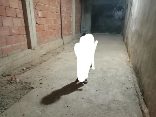 Location Appartement Niveau de villa F5 Aïn Defla El attaf