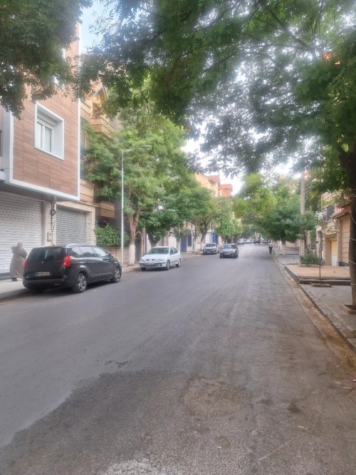Location Local Sétif Setif