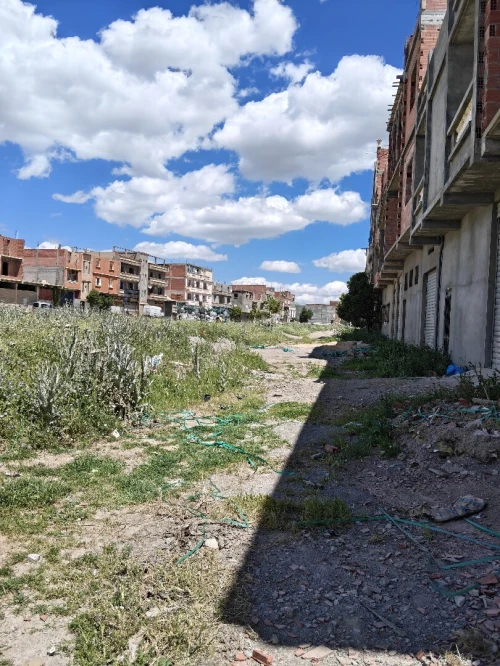 Vente Terrain Sétif Setif