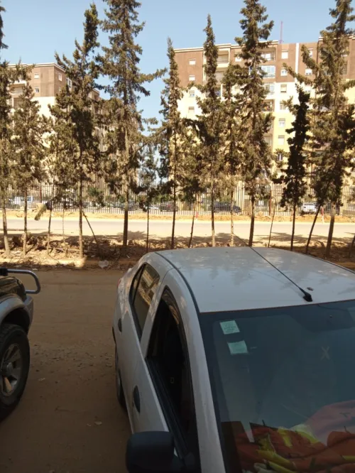 Vente Local Alger Ouled fayet