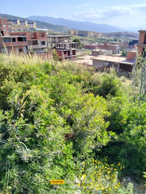 Vente Terrain Blida Meftah