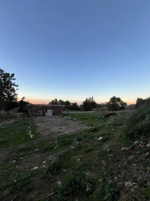Vente Terrain Blida Bougara