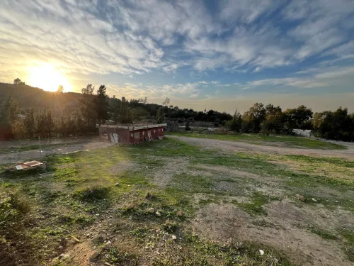 Vente Terrain Blida Bougara