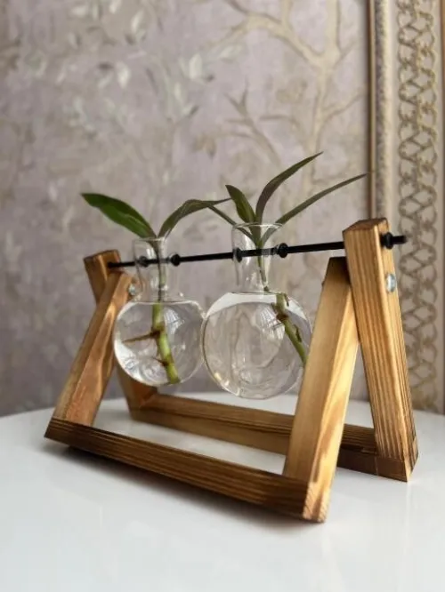 Vase pour plante Hydroponique très classe