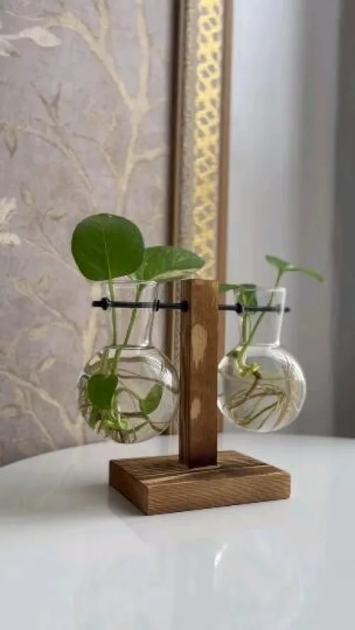 Vase pour plante Hydroponique très classe