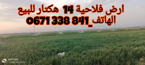 Vente Terrain Aïn Defla Khemis miliana