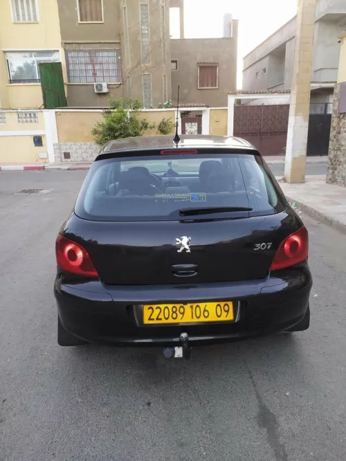 Peugeot 307 2006 Oxygo
