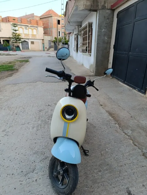 Walido Scooter électrique 2025