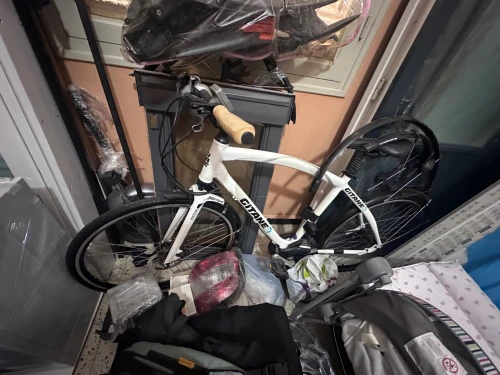 Velo