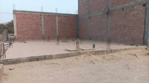 Vente Terrain Biskra El hadjeb
