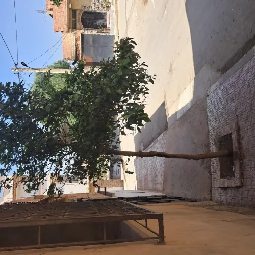 Vente bien immobilier Oran Hassian toual