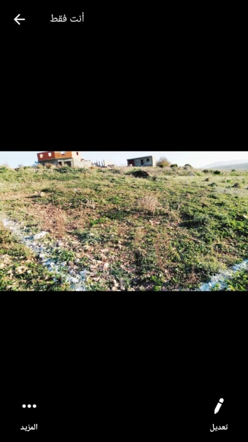 Vente Terrain Aïn Témouchent Sidi safi