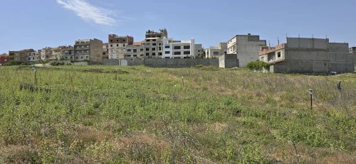 Vente Terrain Constantine Constantine