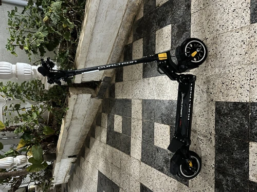 Dualtron Mini special 