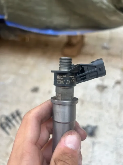 Injecter 2L Dci 150 Cheveux 