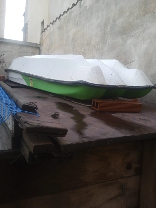 Kayak