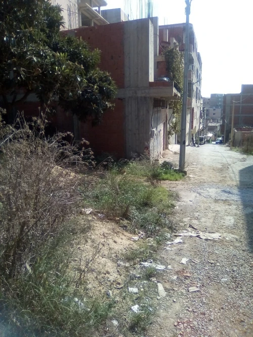 Vente Terrain Alger Khraissia