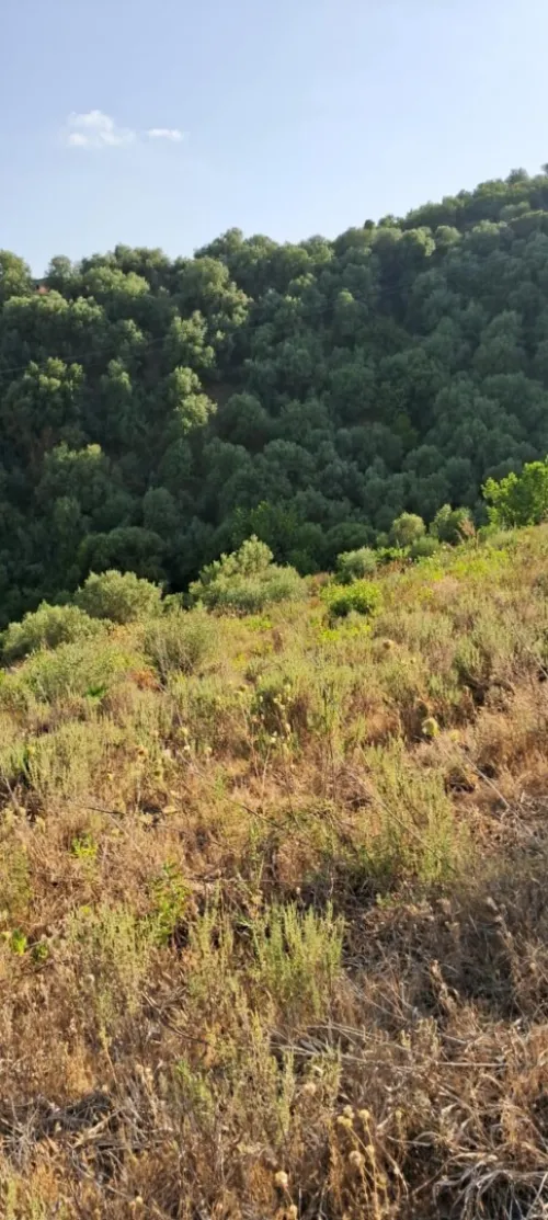 Vente Terrain Bouira Lakhdaria