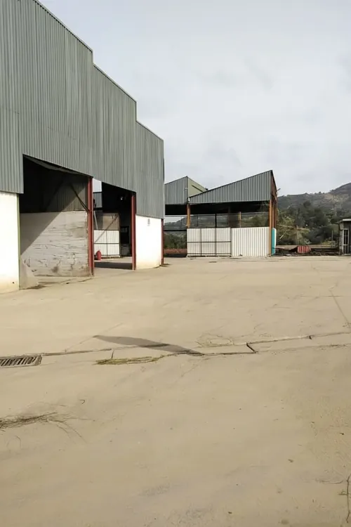 Vente Hangar Jijel Jijel