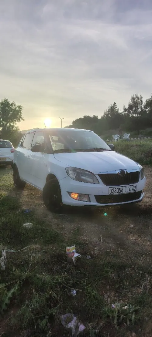 Skoda Fabia 2014 Visage