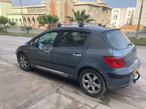 Peugeot 307 2007 Oxygo