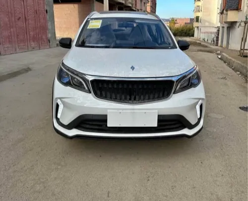 Livan X3 Pro  2026 Livan